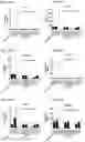 Fig. 83 - Blood profiling with protease inhibitors