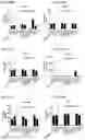 Fig. 88 - Blood profiling with protease inhibitors