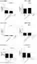 Fig. 96 - Blood profiling with protease inhibitors