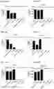Fig. 99 - Blood profiling with protease inhibitors