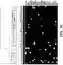 Fig. 06 - Diagnostic and prognostic methods for lung disorders using gene expression profiles from nose epithelial cells