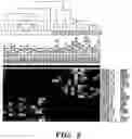 Fig. 08 - Diagnostic and prognostic methods for lung disorders using gene expression profiles from nose epithelial cells