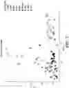 Fig. 13 - Diagnostic and prognostic methods for lung disorders using gene expression profiles from nose epithelial cells