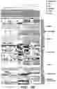 Fig. 15 - Diagnostic and prognostic methods for lung disorders using gene expression profiles from nose epithelial cells