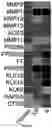 Fig. 06 - Lung protease nanosensors and uses thereof
