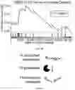 Fig. 08 - Lung protease nanosensors and uses thereof