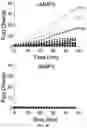 Fig. 09 - Lung protease nanosensors and uses thereof