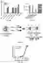 Fig. 25 - Lung protease nanosensors and uses thereof