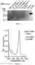 Fig. 32 - Lung protease nanosensors and uses thereof