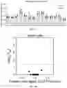 Fig. 41 - Lung protease nanosensors and uses thereof