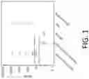 Fig. 02 - Methods for identification of pregnancy failure