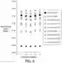 Fig. 06 - SYSTEM AND METHOD FOR LIPID QUANTIFICATION