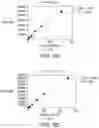 Fig. 12 - SYSTEM AND METHOD FOR LIPID QUANTIFICATION