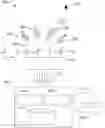 Fig. 01 - Classification of detected reflections in a sensing system