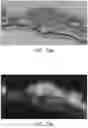 Fig. 07 - Method for validating geological model data over corresponding original seismic data