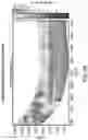 Fig. 06 - Three dimensional visualization from point-by-point one dimensional inversion with bed azimuth