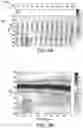 Fig. 10 - Broadband achromatic flat optical components by dispersion-engineered dielectric metasurfaces