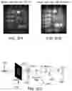 Fig. 28 - Broadband achromatic flat optical components by dispersion-engineered dielectric metasurfaces
