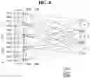 Fig. 07 - Display device and method of manufacturing the same