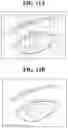 Fig. 12 - Display device and method of manufacturing the same