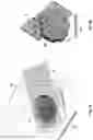 Fig. 10 - HIGH THROUGHPUT LIGHT SHEET MICROSCOPE WITH ADJUSTABLE ANGULAR ILLUMINATION