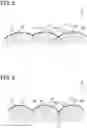 Fig. 05 - Head-up display device