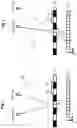 Fig. 02 - Liquid crystal parallax barrier and method of addressing