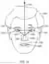 Fig. 24 - Detecting and Setting the Posture Configuration of a Hinged Multi-Screen Device