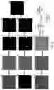 Fig. 05 - Dispositioning defects detected on extreme ultraviolet photomasks