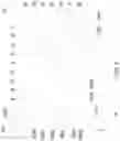 Fig. 03 - METHOD OF FLUID DROPLET OFFSET AND APPARATUS FOR IMPRINT LITHOGRAPHY