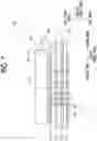 Fig. 08 - Image forming apparatus and board