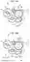 Fig. 11 - Developing device capable of suppressing the passing of a relatively large amount of developer and image forming apparatus therewith