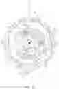 Fig. 11 - Movement and electronic timepiece