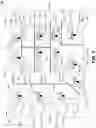 Fig. 03 - Automatic Compensation For An Electrical Device In An Electrical System
