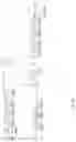 Fig. 19 - DYNAMIC PARAMETER TUNING USING PARTICLE SWARM OPTIMIZATION