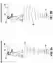 Fig. 08 - RF Beamforming for Head Mounted Display