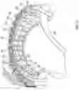 Fig. 06 - Neuromuscular text entry, writing and drawing in augmented reality systems