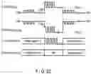 Fig. 23 - Display device having touch panel