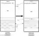 Fig. 01 - Systems and methods for detecting problems inputting text with a touch environment and providing solutions