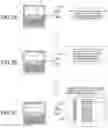 Fig. 08 - Electronic apparatus and non-transitory storage medium storing program readable by operation terminal