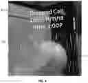 Fig. 05 - Immersive data visualization