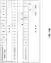 Fig. 19 - Dynamic access of task queues in a parallel processing system
