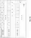 Fig. 20 - Dynamic access of task queues in a parallel processing system