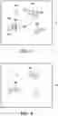 Fig. 03 - Method and system for estimating efficiency of machine vision