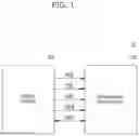 Fig. 02 - Data path protection parity determination for data patterns in storage devices
