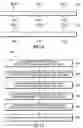 Fig. 08 - METHOD AND/OR SYSTEM FOR PROCESSING DATA STREAMS