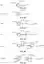 Fig. 08 - Rules based hierarchical data virtualization