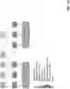 Fig. 13 - Upgrading a database from a first version to a second version