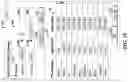 Fig. 20 - Table cell editing in a spreadsheet constrained to unbounded and searchable lists of values from web service