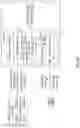 Fig. 37 - Interpreting a most likely meaning of a phrase